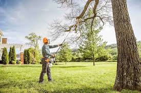 Best Storm Damage Tree Cleanup  in Loma, CO